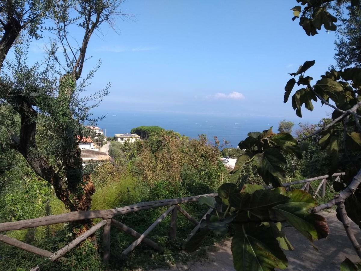 Anna Belle Elegant Agriresort Sorrento Luaran gambar