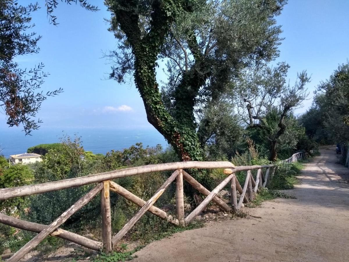 Anna Belle Elegant Agriresort Sorrento Luaran gambar