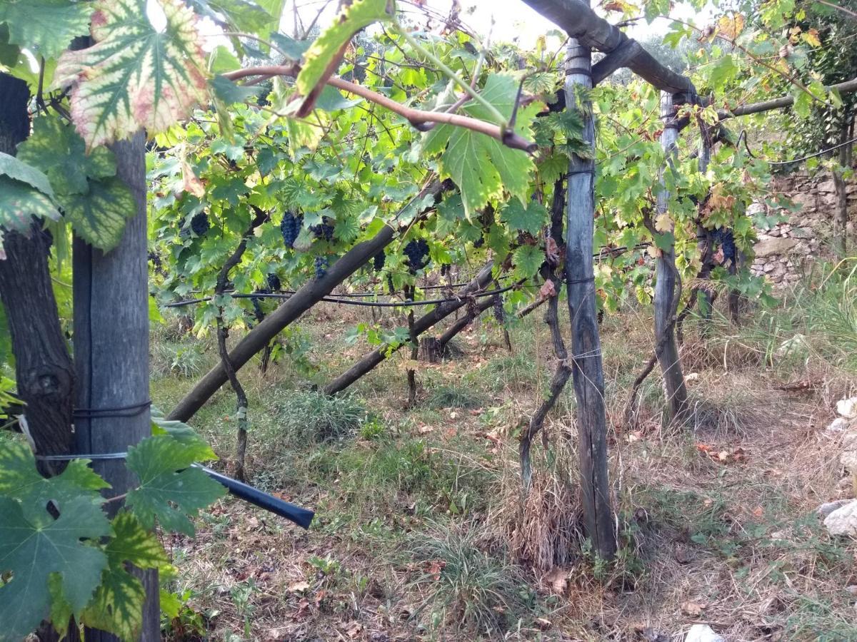 Anna Belle Elegant Agriresort Sorrento Luaran gambar