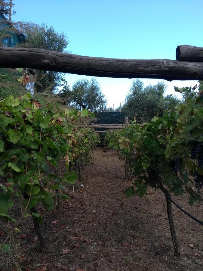 Anna Belle Elegant Agriresort Sorrento Luaran gambar